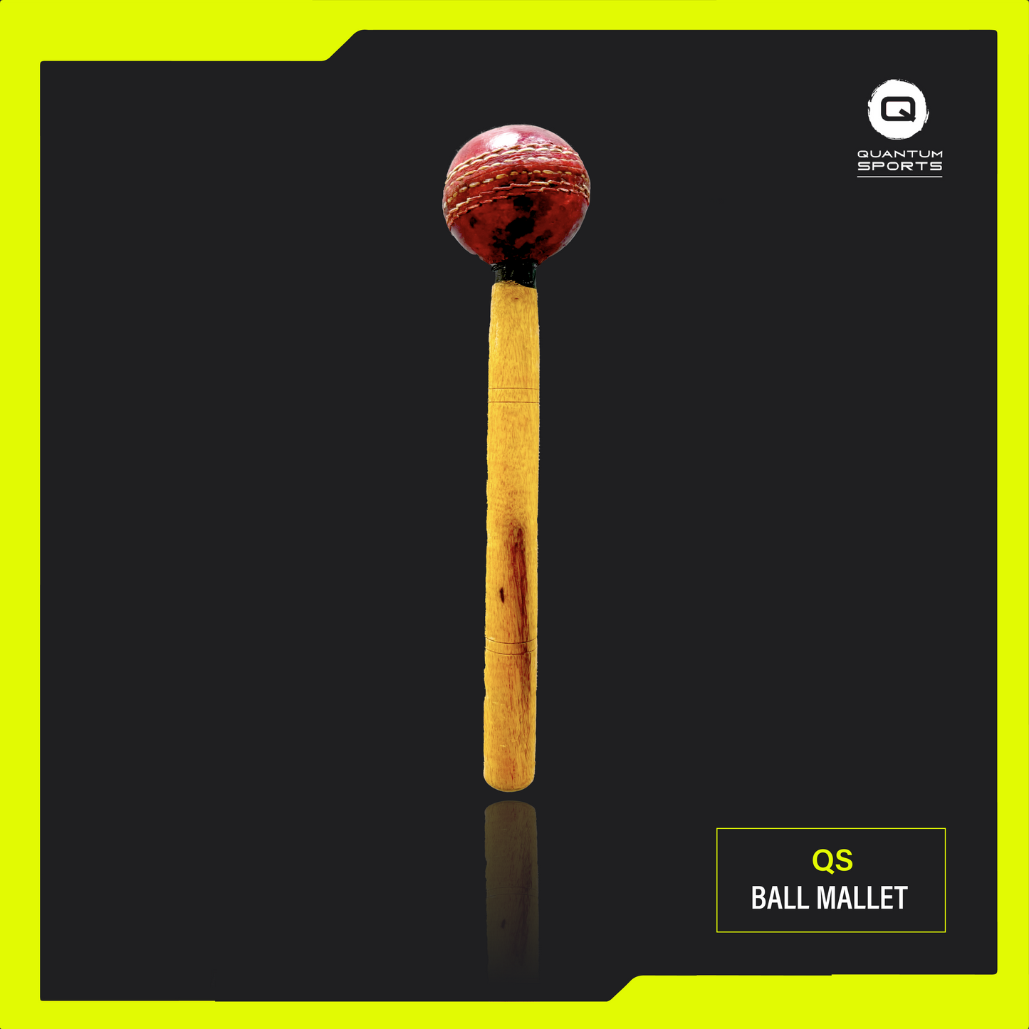 [QuantumSports] Ball Mallet